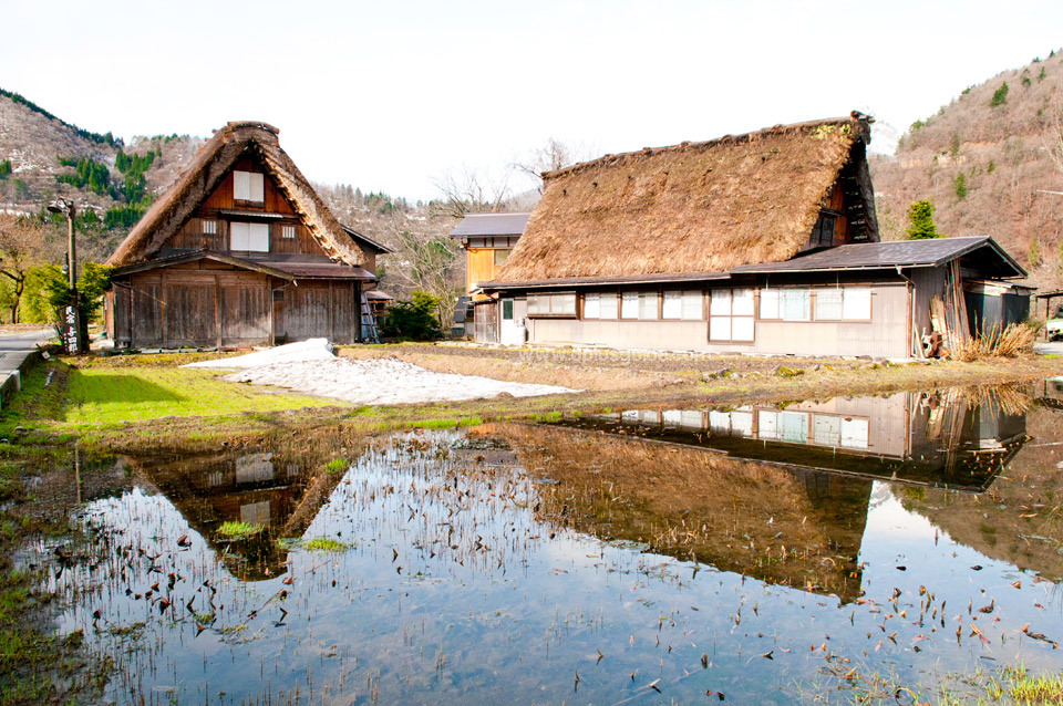 หมู่บ้านสวย น้ำใส ในบรรดาบ้านชาวนากว่า 100 หลังคาเรือน ยังคงมีการทำเกษตรให้เห็นอยู่นะจ๊ะ หมู่บ้านสวย น้ำใส ในบรรดาบ้านชาวนากว่า 100 หลังคาเรือน ยังคงมีการทำเกษตรให้เห็นอยู่นะจ๊ะ