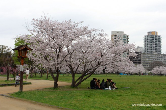 สวนโอโฮริ (Ohori) สวนสาธารณะกลางเมืองฟุกุโอกะ (Fukuoka)