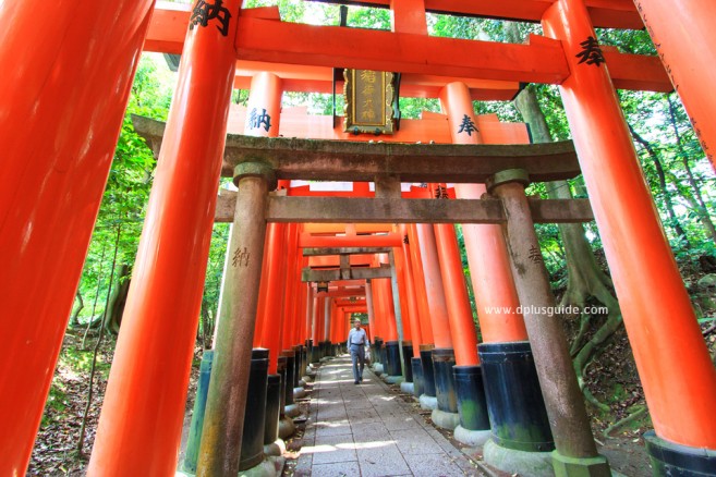 เที่ยวญี่ปุ่น ชมอุโมงค์โทริอิ ที่ศาลเจ้าฟูชิมิอินาริ (Fushimi Inari Shrine) หรือศาลเจ้าจิ้งจอกขาว จังหวัดเกียวโต