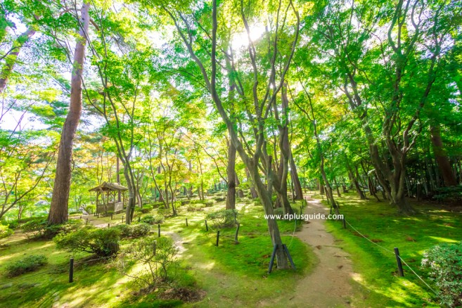 เที่ยวญี่ปุ่นชมใบไม้เปลี่ยนสีที่สวน Shouun Sanso เมือง Kashiwazaki จังหวัด Niigata