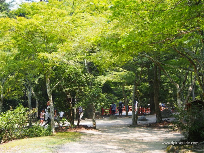 สวน Momijidani