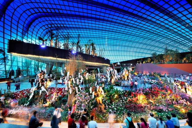 Flower-Dome-Pic-3
