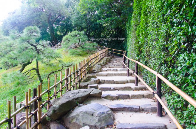 เที่ยวญี่ปุ่น สวนริทสึริน (Ritsurin Garden) ชมสวนสวยอลังการ ป่าสนโบราณ ล่องทะเลสาบเงียบสงบ ที่ชิโกกุ