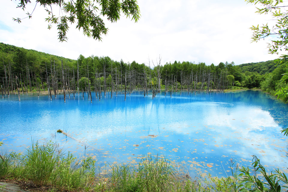 Image result for à¸à¹à¸­à¸à¹à¸³à¸ªà¸µà¸à¹à¸²