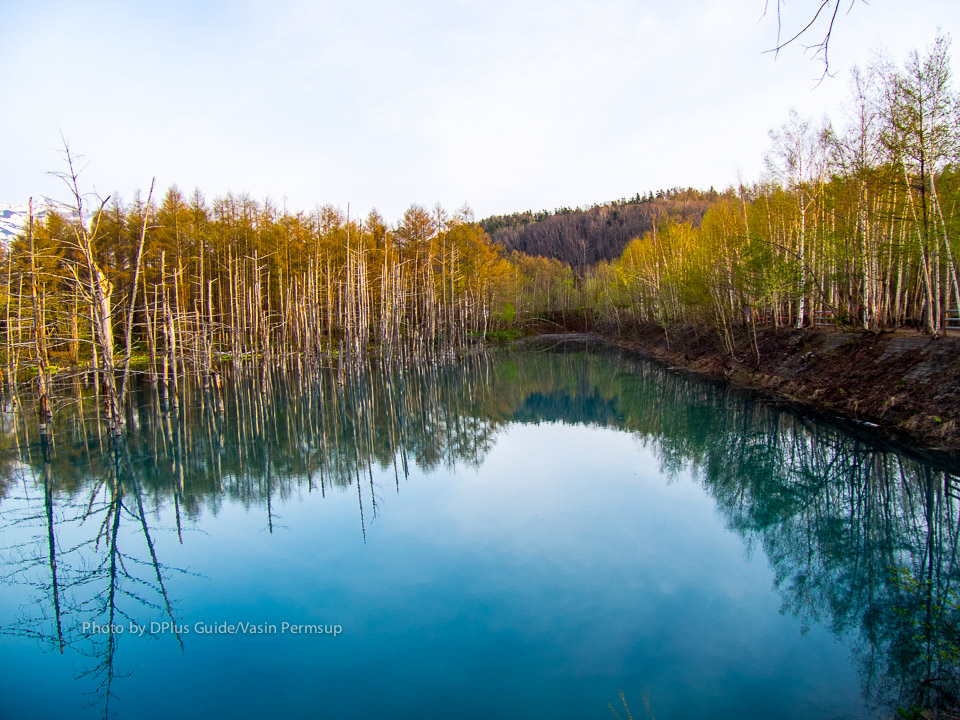 สระมรกตหรือ Blue Pond บนเส้นทาง Panorama road สระมรกตหรือ Blue Pond บนเส้นทาง Panorama road