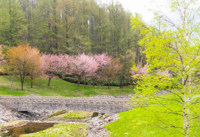 Log Hotel Larch กระท่อมไม้ซุงแสนอบอุ่นแห่ง Minamifurano ฮอกไกโด