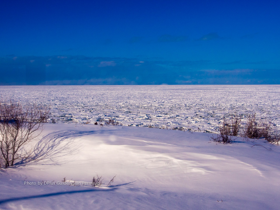 บางช่วงก็จะเห็นแผ่นน้ำแข็ง (drift ice) ลอยมาติดฝั่งแบบนี้