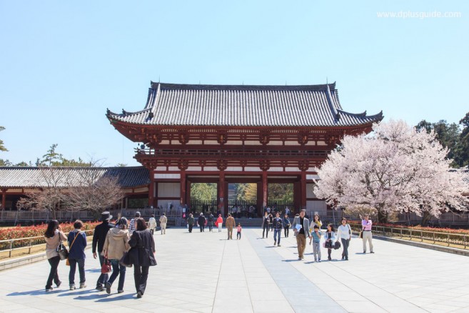 วัดโทไดจิ (Todaiji) เมืองนารา สักการะหลวงพ่อโต (ไดบุทสุ) ในวิหารไม้ใหญ่ที่สุดในโลก