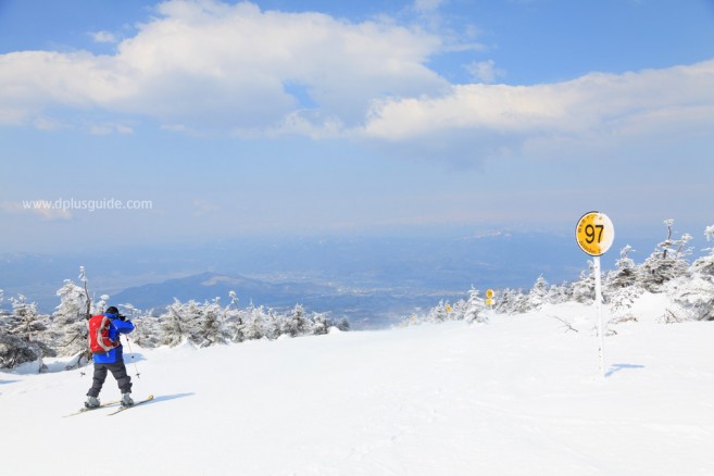 เล่นสกี ชมปีศาจหิมะ ที่เขาซะโอ จ.ยะมะงะตะ