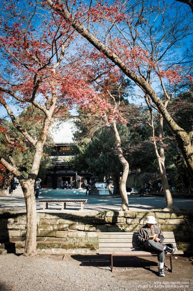 Kamakura_02