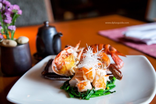 ชิมสุดยอดเนื้อฮิดะ (Hida-gyu) แบบไม่ต้องไปไกลถึงญี่ปุ่นที่ KiSara @ Conrad Bangkok Hotel ชิมสุดยอดเนื้อฮิดะ (Hida-gyu) แบบไม่ต้องไปไกลถึงญี่ปุ่นที่ KiSara @ Conrad Bangkok Hotel