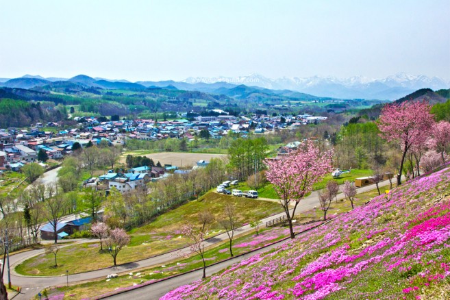 วิวเมืองทาคิโนะอุเอะ จากบนสวน Takinoue Park เที่ยวทุ่งพิงค์มอส (Shibazakura) ที่สวน Takinoue Park ชมพูกันให้สะใจ