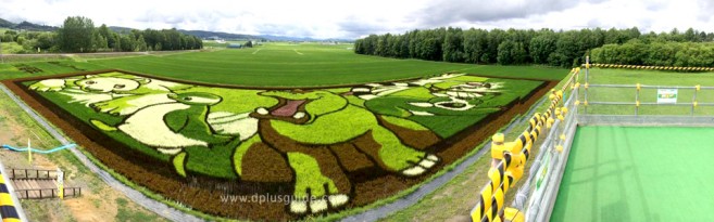 เที่ยวฮอกไกโด Tambo Art ศิลปะในนาข้าว