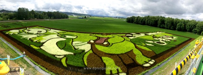 หนึ่งปีมีหน เที่ยวฮอกไกโดหน้าร้อน Tambo Art ศิลปะในนาข้าว ที่เมือง Asahikawa