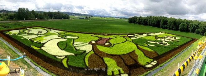 เที่ยวฮอกไกโด Tambo Art ศิลปะในนาข้าว