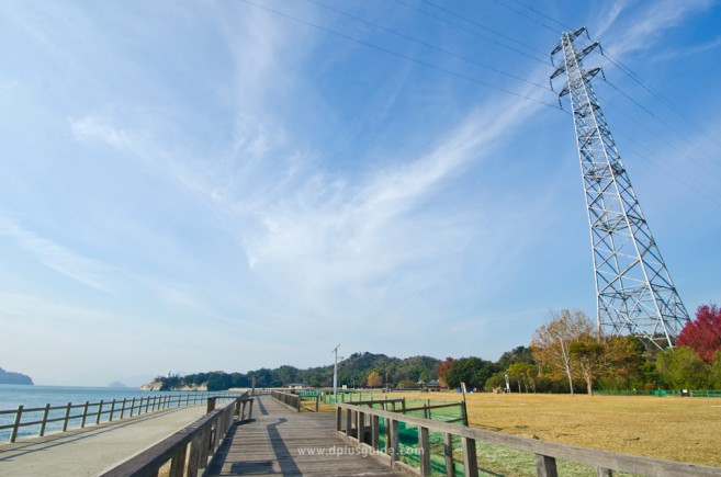 เที่ยวญี่ปุ่น ไปดูเกาะกระต่ายที่ Okunoshima จ.ฮิโรชิม่ากัน!