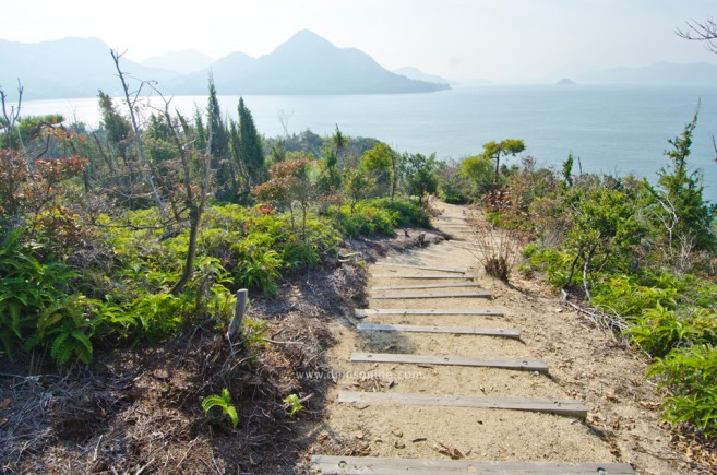 เที่ยวญี่ปุ่น ไปดูเกาะกระต่ายที่ Okunoshima จ.ฮิโรชิม่ากัน!