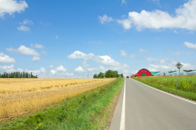 อวดระหว่างทางเก๋ๆ ถ่ายมาจากเส้นทางปั่นจักรยาน Panorama Road อวดระหว่างทางเก๋ๆ ถ่ายมาจากเส้นทางปั่นจักรยาน Panorama Road