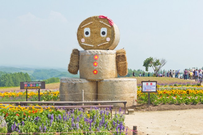 สวน Shikisai-no-Oka จุดแวะสำคัญของเส้นทางปั่นจักรยานเที่ยวฮอกไกโด Panorama Road ที่ Biei