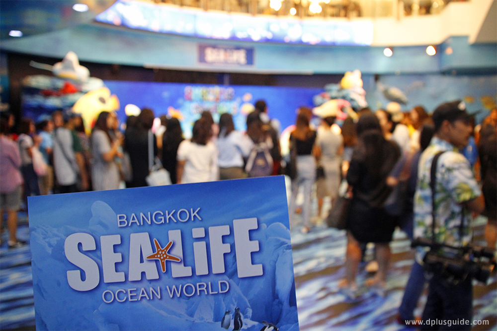 เวทีแถลงข่าวการจัดกิจกรรม "Amazing Creations มหัศจรรย์วาดฝันใต้ทะเลลึกเหนือจินตนาการ" ด้านหน้าอควาเรียม SEA LIFE Bangkok Ocean World เวทีแถลงข่าวการจัดกิจกรรม "Amazing Creations มหัศจรรย์วาดฝันใต้ทะเลลึกเหนือจินตนาการ" ด้านหน้าอควาเรียม SEA LIFE Bangkok Ocean World