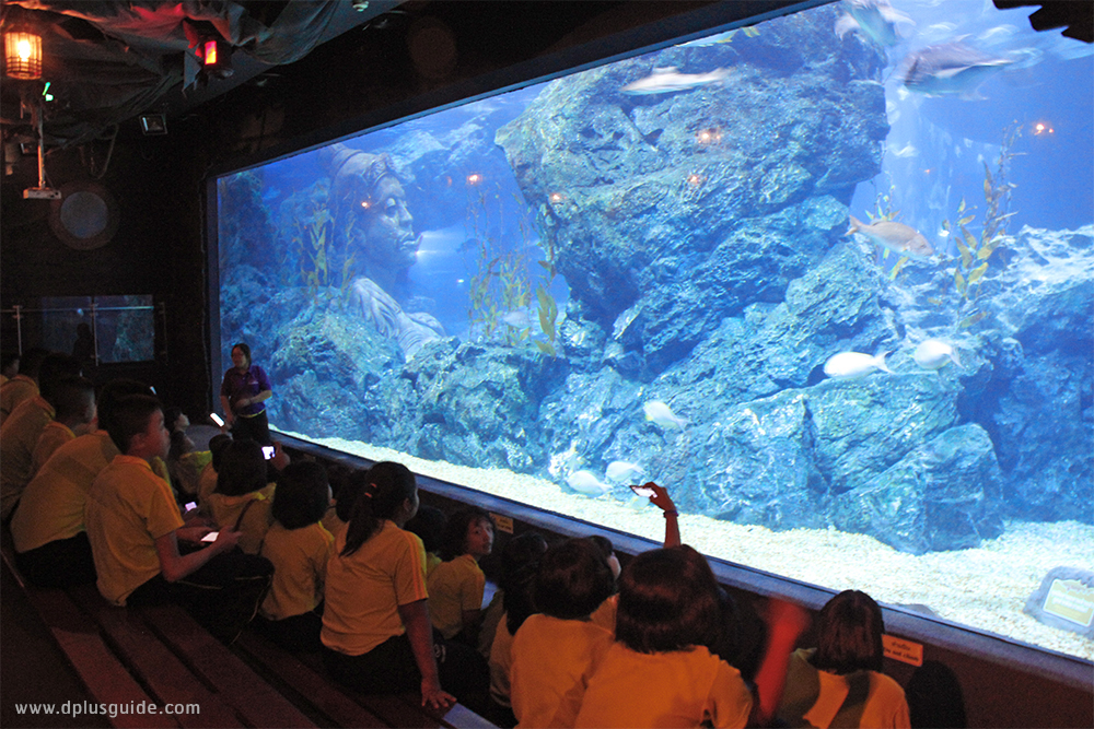 "Amazing Creations มหัศจรรย์วาดฝันใต้ทะเลลึกเหนือจินตนาการ" ที่ SEA LIFE Bangkok Ocean World กรุงเทพฯ "Amazing Creations มหัศจรรย์วาดฝันใต้ทะเลลึกเหนือจินตนาการ" ที่ SEA LIFE Bangkok Ocean World กรุงเทพฯ
