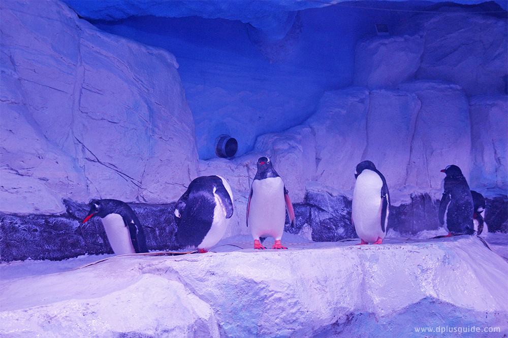 "Amazing Creations มหัศจรรย์วาดฝันใต้ทะเลลึกเหนือจินตนาการ" ที่ SEA LIFE Bangkok Ocean World กรุงเทพฯ "Amazing Creations มหัศจรรย์วาดฝันใต้ทะเลลึกเหนือจินตนาการ" ที่ SEA LIFE Bangkok Ocean World กรุงเทพฯ
