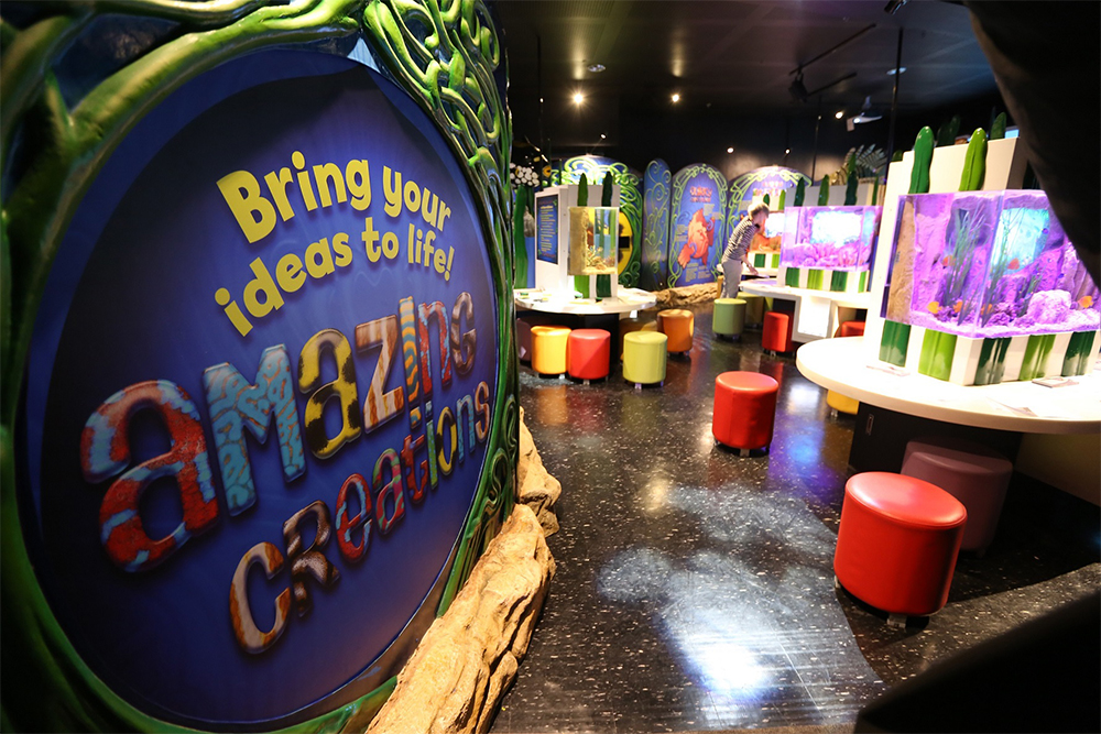 บริเวณพื่นที่ทีจัดกิจกรรมการเรียนรู้ภายในธีม “Amazing Creations มหัศจรรย์วาดฝันใต้ทะเลลึกเหนือจินตนาการ” บริเวณพื่นที่ทีจัดกิจกรรมการเรียนรู้ภายในธีม “Amazing Creations มหัศจรรย์วาดฝันใต้ทะเลลึกเหนือจินตนาการ”