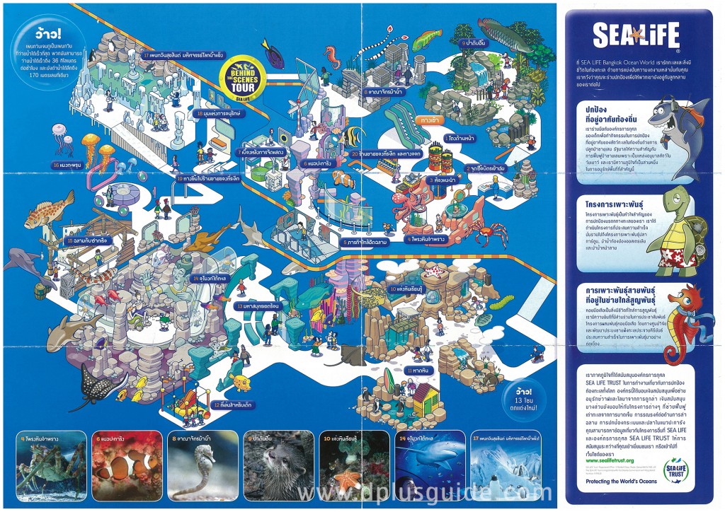 แผนผังภายในบริเวณอควาเรียม SEA LIFE Bangkok Ocean World กรุงเทพฯ