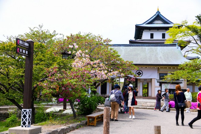 เที่ยวฮอกไกโด ชมปราสาท Matsumae ยามดอกซากุระผลิบาน