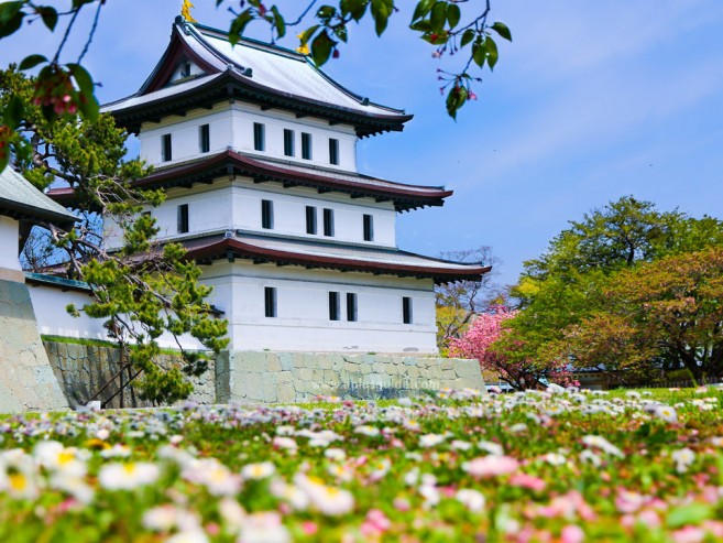 เที่ยวฮอกไกโด ชมปราสาท Matsumae ยามดอกซากุระผลิบาน