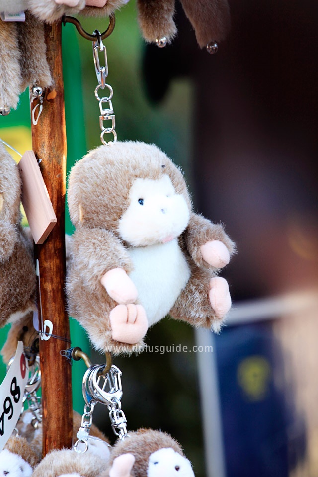 ของที่ระลึกจาก Monkey Park