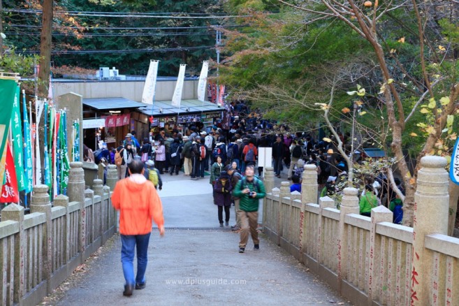 เส้นทาง Omotesando Trail มีเพื่อนร่วมทางมากมาย ไม่ต้องกลัวเหงา