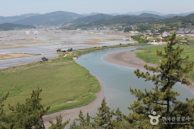 ดื่มด่ำกับธรรมชาติที่ Suncheonman Bay Ecological Park (구, 순천만자연생태공원)