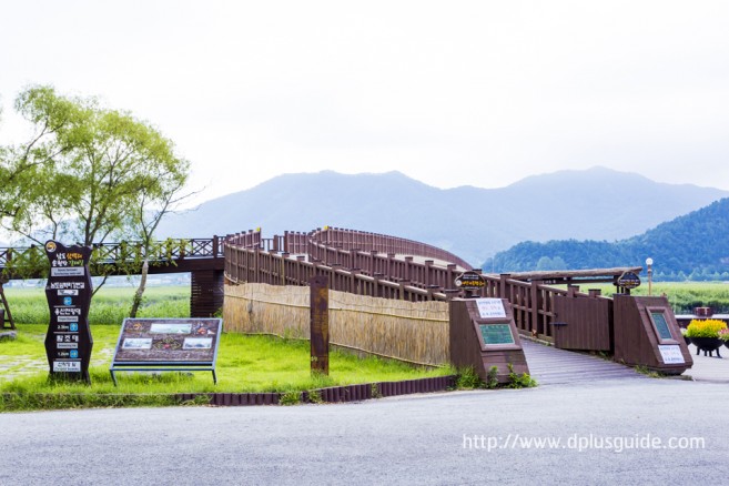 ดื่มด่ำกับธรรมชาติที่ Suncheonman Bay Ecological Park (구, 순천만자연생태공원)