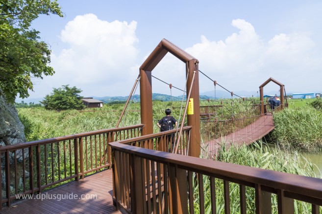 ดื่มด่ำกับธรรมชาติที่ Suncheonman Bay Ecological Park (구, 순천만자연생태공원)