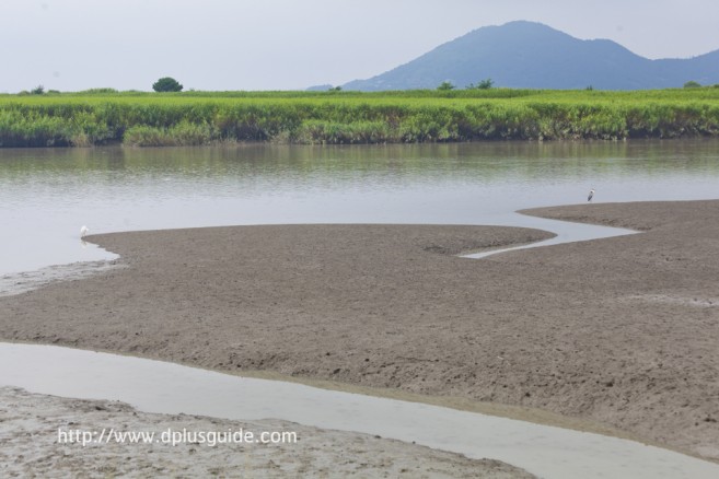 ดื่มด่ำกับธรรมชาติที่ Suncheonman Bay Ecological Park (구, 순천만자연생태공원) ดื่มด่ำกับธรรมชาติที่ Suncheonman Bay Ecological Park (구, 순천만자연생태공원)
