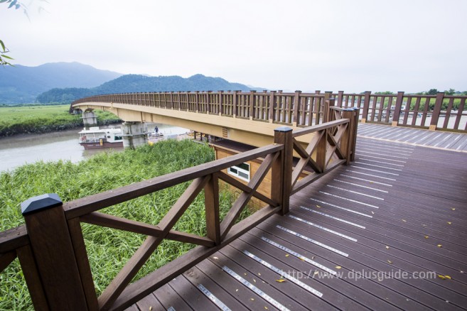 ดื่มด่ำกับธรรมชาติที่ Suncheonman Bay Ecological Park (구, 순천만자연생태공원)