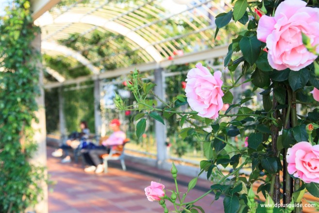 เที่ยวญี่ปุ่น สวนสาธารณะเทนโนจิ (Tennoji Park) แหล่งพักผ่อนหย่อนใจของชาวเมืองโอซาก้า เที่ยวญี่ปุ่น สวนสาธารณะเทนโนจิ (Tennoji Park)