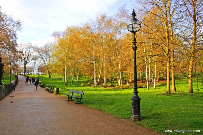 สวน HYDE PARK ที่อังกฤษ อยู่ติดกับสวน Kensington Garden