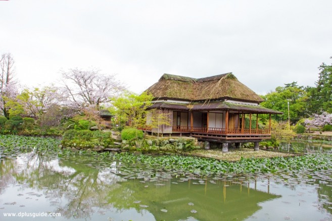 เที่ยวซากะ ภูมิภาคคิวชู สาวกน้ำชาห้ามพลาด เรือนน้ำชา Heisei Kakurintei เรือนไม้ริมบึงน้ำที่สวน Kono