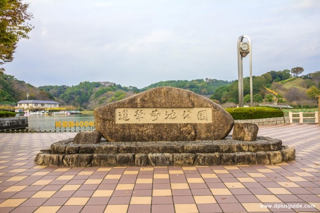 เที่ยวญี่ปุ่น เที่ยวจูบุ เที่ยวชิซูโอะกะ มาชมดอก Wisteria ได้ที่สวน Rengeji-Ike Park
