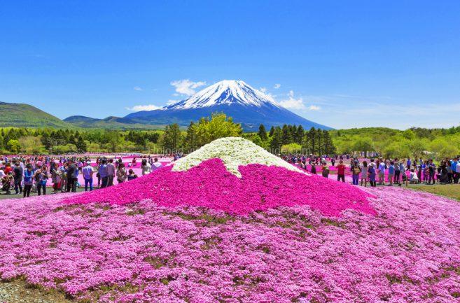 Uchta lezbiyenlar birida