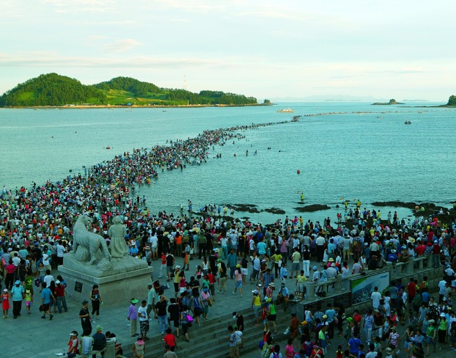 ฤดูนี้มีเทศกาล Jindo Sea Crossing Festival ที่คนจะ “เดิน” แหวกทะเลกันด้วยค่ะ