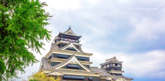 ปราสาทคุมาโมโตะ (Kumamoto Castle) ปราสาทยิ่งใหญ่แห่งเกาะคิวชู