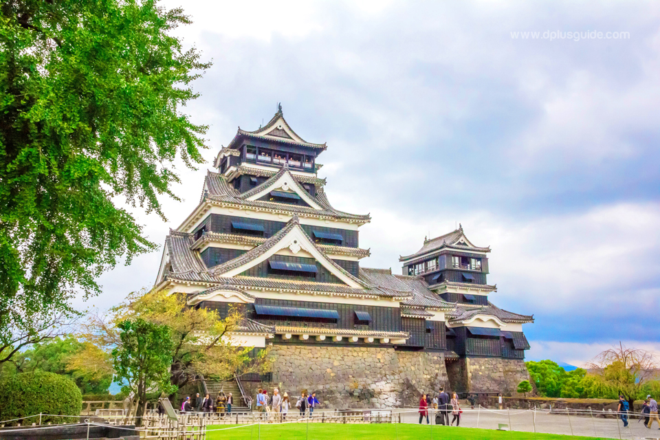 เที่ยวญี่ปุ่นที่ปราสาทคุมาโมโตะ (Kumamoto Castle) เกาะคิวชู | DPlus Guide