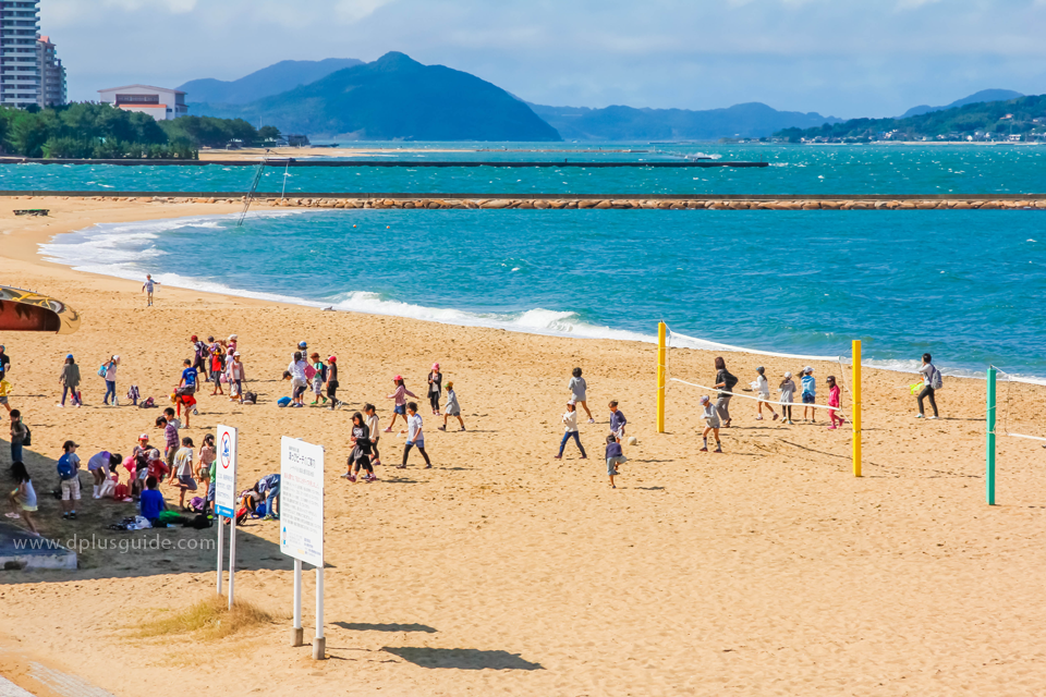 MomochiSeasidePark3 DPlus Guide