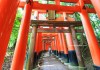 เที่ยวญี่ปุ่น ชมอุโมงค์โทริอิ ที่ศาลเจ้าฟูชิมิอินาริ (Fushimi Inari Shrine) หรือศาลเจ้าจิ้งจอกขาว เกียวโต