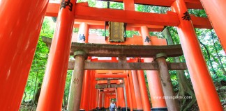 เที่ยวญี่ปุ่น ชมอุโมงค์โทริอิ ที่ศาลเจ้าฟูชิมิอินาริ (Fushimi Inari Shrine) หรือศาลเจ้าจิ้งจอกขาว เกียวโต