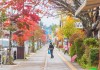 เที่ยวญี่ปุ่นชมใบไม้เปลี่ยนสี ที่เมืองน่ารัก Karuizawa จังหวัด Nagano