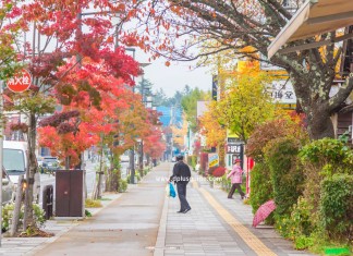 เที่ยวญี่ปุ่นชมใบไม้เปลี่ยนสี ที่เมืองน่ารัก Karuizawa จังหวัด Nagano